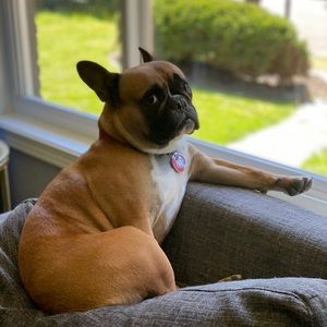 Meet your Posher, Brandy